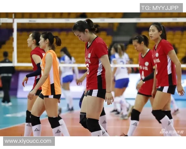 英超排球纪实见证杭州排球队奋进成长的辉煌历程