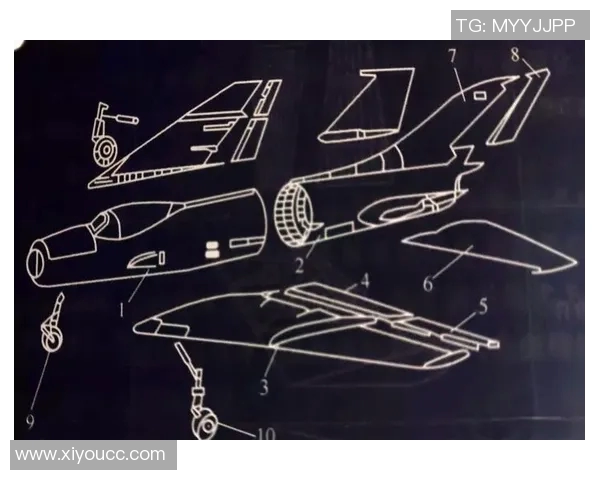 深入解析上海排球队反击战术的秘密与技巧