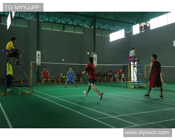 赵芳倾情分享羽毛球技巧与训练心得助你提升竞技水平