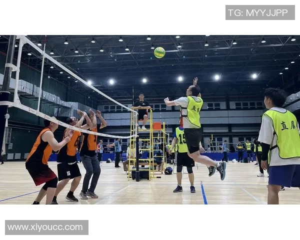 体育实时数据西安排球队凭借灵活性夺冠排球灵活性排行榜新鲜出炉